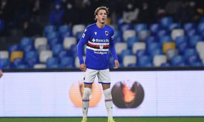 他们从竞争 他们从竞争