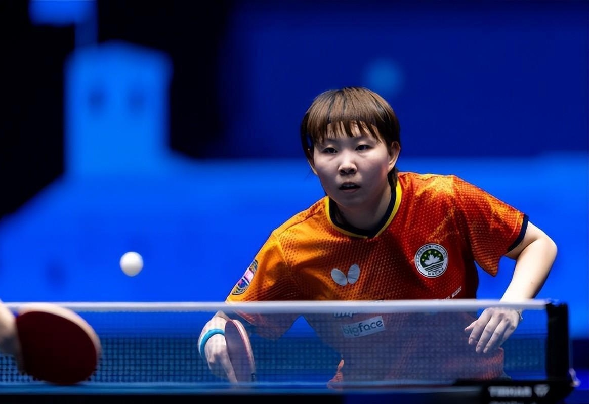 深圳新鹏城 深圳新鹏城